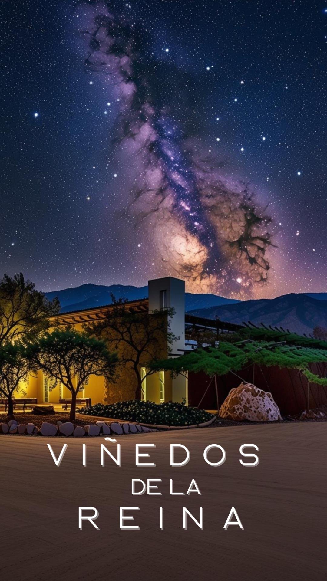 Botella de vino de Viñedos de la Reina servida en copa, con viñedos del Valle de Guadalupe al fondo
