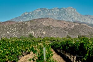 Montaje de boda en los jardines del Hotel Castillo Ferrer