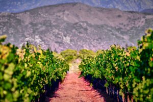 Capilla tallada en la montaña dentro del Hotel Castillo Ferrer